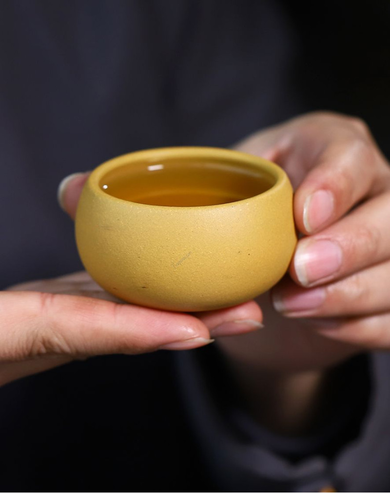 Golden Duan Ni Purple Clay Gongfu Tea Cup