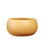 Golden Duan Ni Purple Clay Gongfu Tea Cup