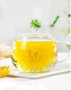  Golden Silk Imperial Chrysanthemum