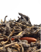 Guangxi Liu Pao (Liu Bao) Aged Dark Tea