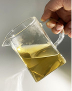 Mingqian High Mountain Sun-dried White Peony Tea Cake 