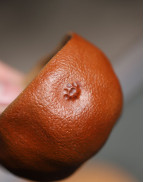 Hand-Made Duan Ni Pomegranate Purple Clay Tea Cup