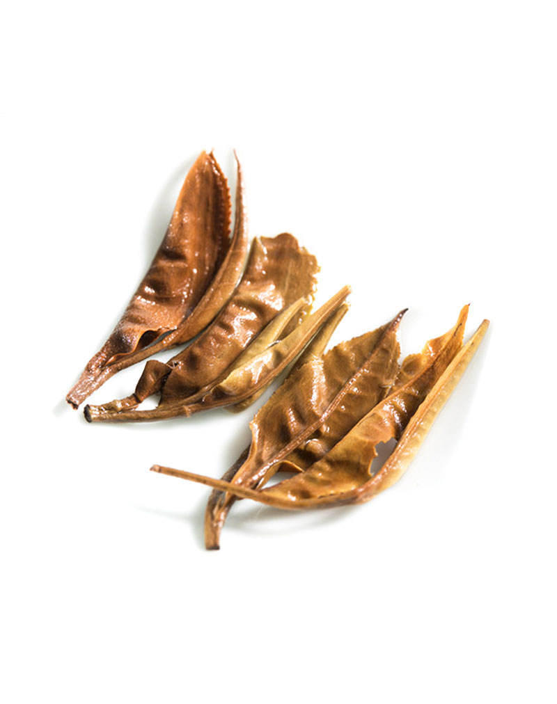  Yangta High Mountain Moonlight White Tea