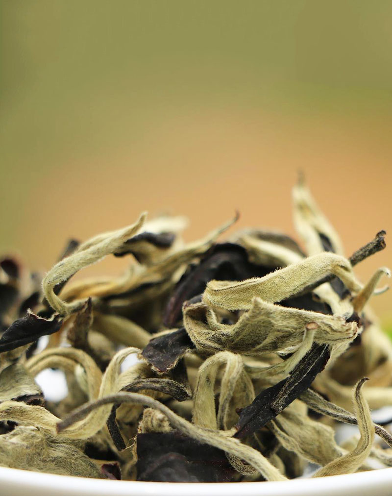  Yangta High Mountain Moonlight White Tea