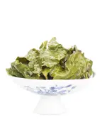 Hand-Made Anxi Qing Xiang (Clear Fragrance) Tie Guan Yin Oolong Tea