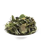 White Peony (Bai Mu Dan) White Tea