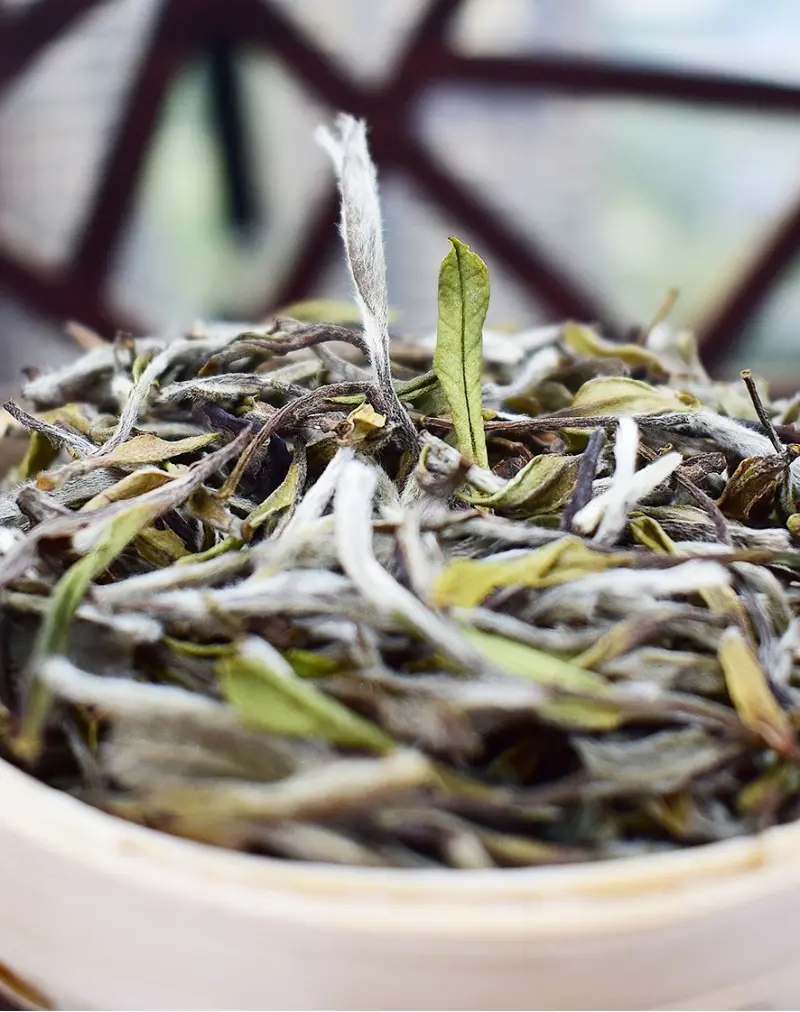 White Peony (Bai Mu Dan) White Tea