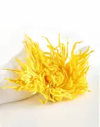  Golden Silk Imperial Chrysanthemum