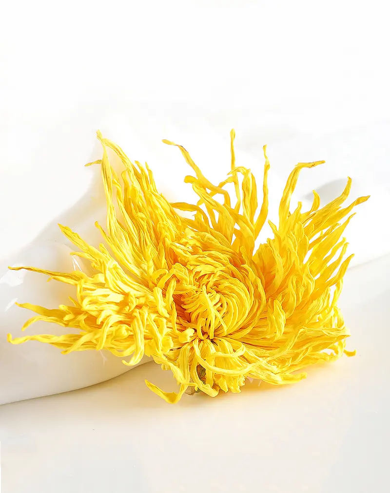  Golden Silk Imperial Chrysanthemum