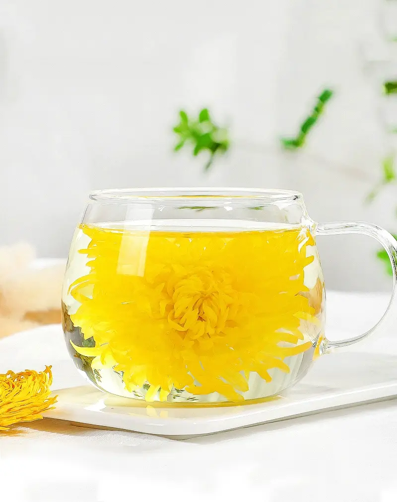  Golden Silk Imperial Chrysanthemum
