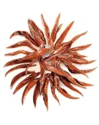 High Mountain Keemun Golden Needles Black Tea (Qi Hong Jin Zhen)