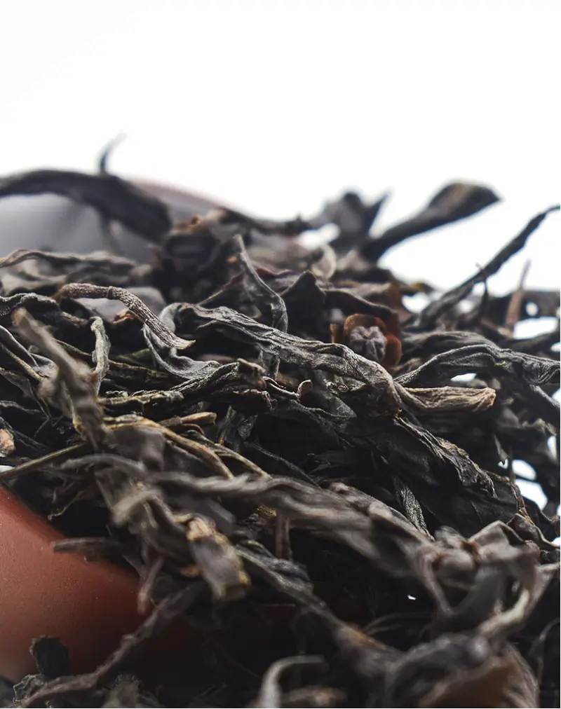 Old Tree Lao Cong Shui Xian Oolong Tea