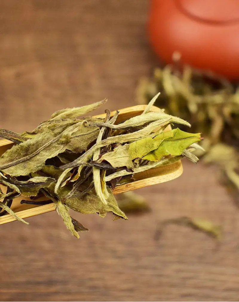 Organic Floral White Peony (Bai Mu Dan) White Tea