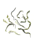 Organic Yunnan Bai Hao Mao Feng Green Tea