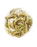 Single bud Jasmine Pearls (Moli Longzhu) scented green tea 