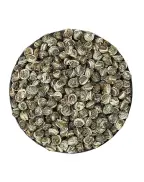 Single bud Jasmine Pearls (Moli Longzhu) scented green tea 