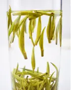 Zhe Jiang Que She Green Tea