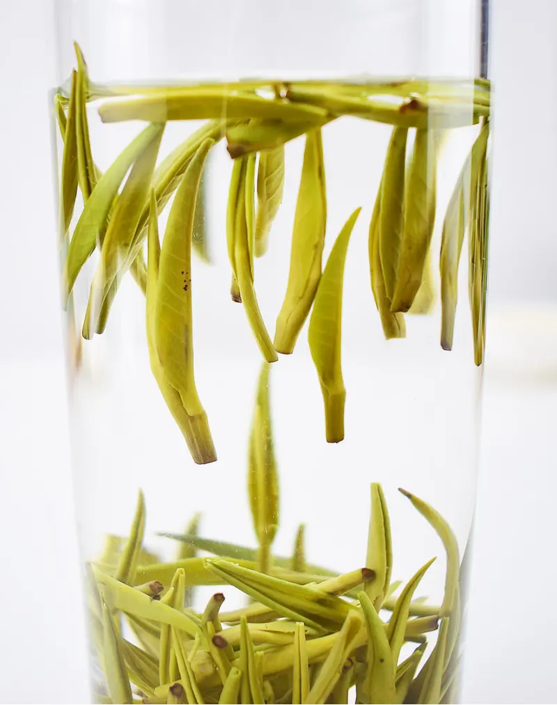 Zhe Jiang Que She Green Tea