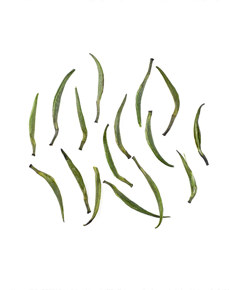 Zhe Jiang Que She Green Tea