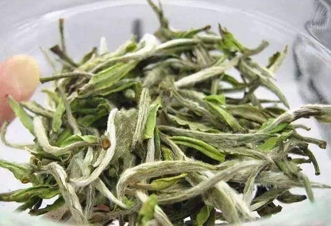 Dried Leaves Of Bai Mu Dan (White Peony) Tea